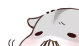 仓鼠萌漫画,欢乐日常，温馨瞬间