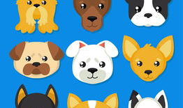 漫画宠物狗,漫画宠物狗的温馨故事